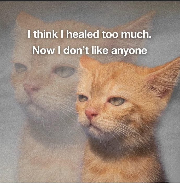 caturday healing majorgeeks.jpg
